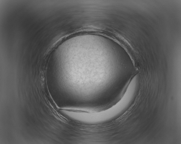 X0000082931355200702222208