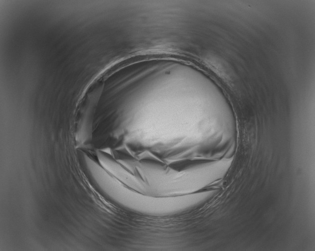 X0000082931356200702222208