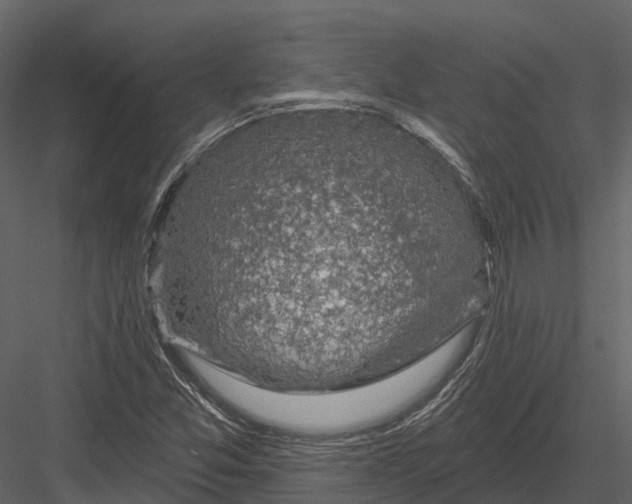 X0000082931357200702222208