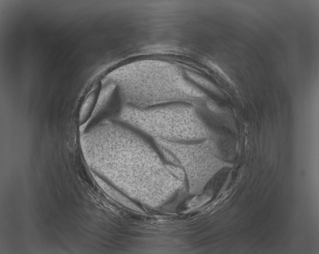 X0000082931358200702222208