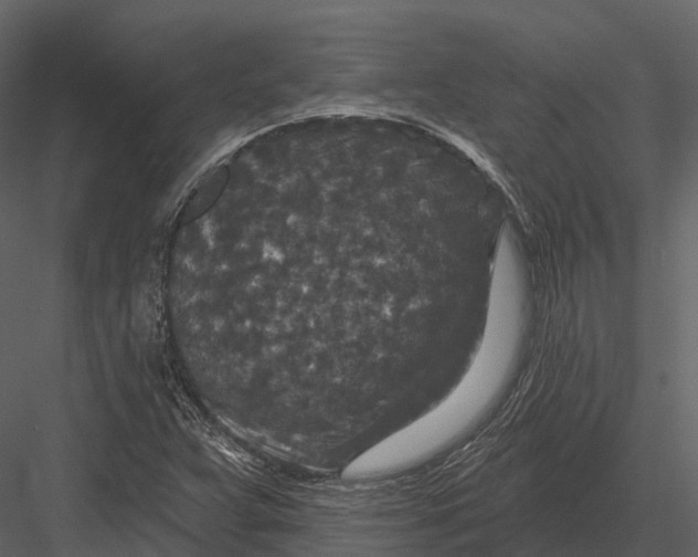 X0000082931359200702222208