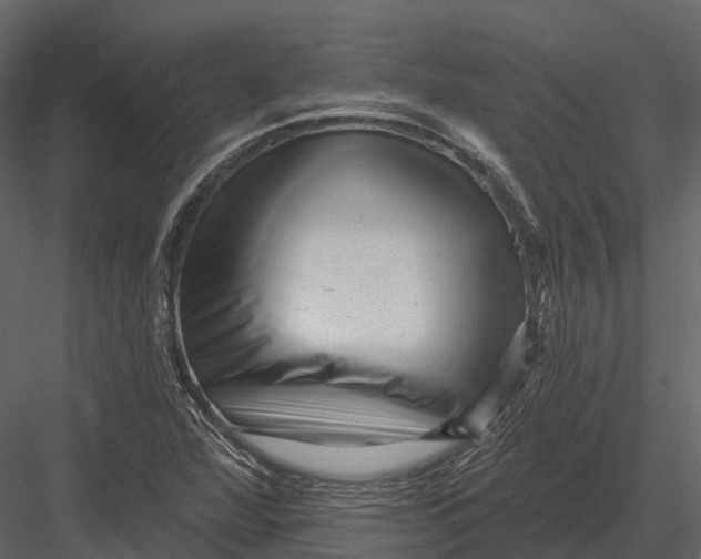 X0000082931360200702222208