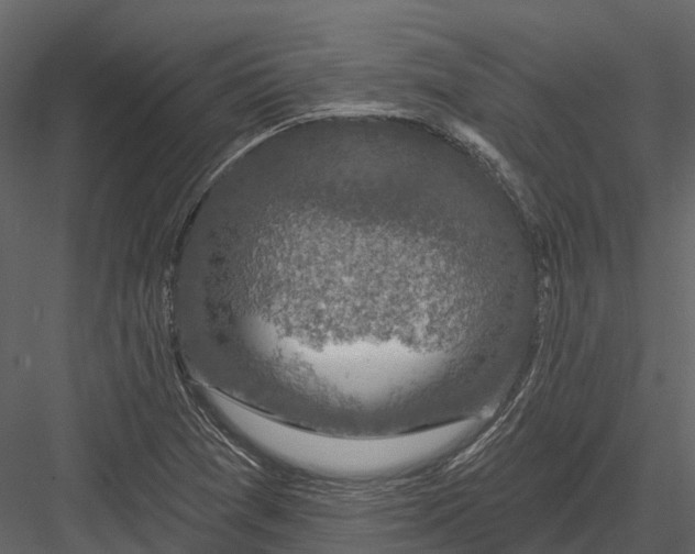 X0000082931361200702222208