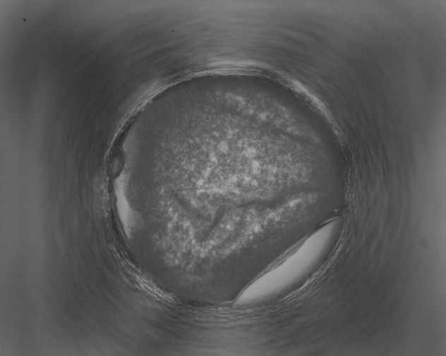 X0000082931362200702222208