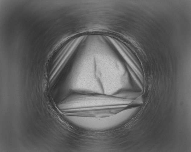 X0000082931363200702222208