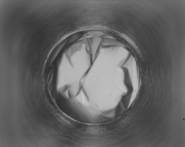 X0000082931364200702222208