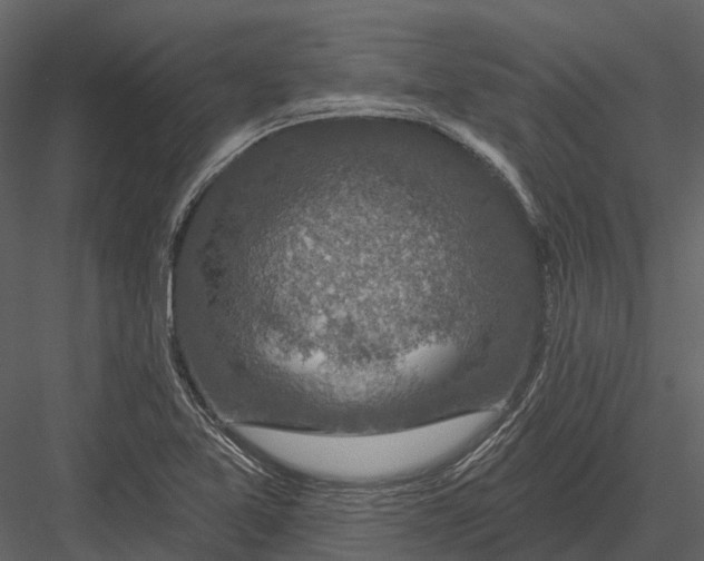 X0000082931365200702222208