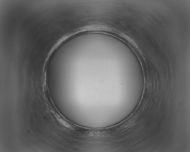 X0000082931366200702222208