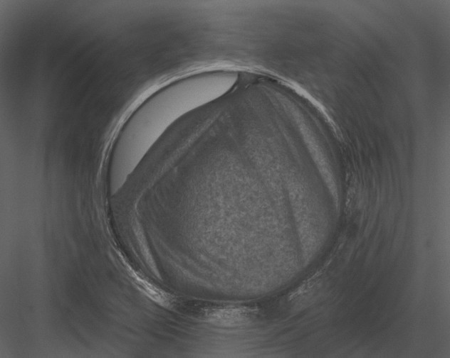 X0000082931367200702222208