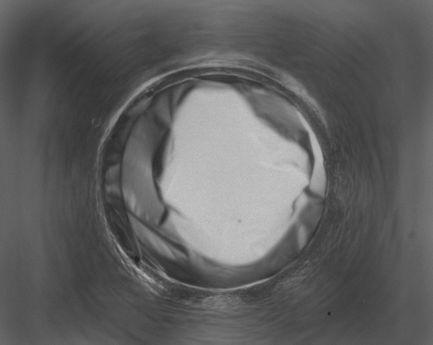 X0000082931368200702222208