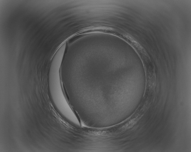 X0000082931369200702222208