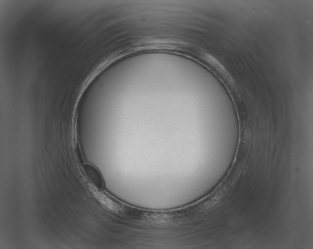 X0000082931370200702222208