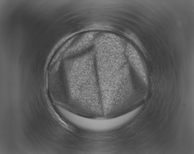 X0000082931371200702222208