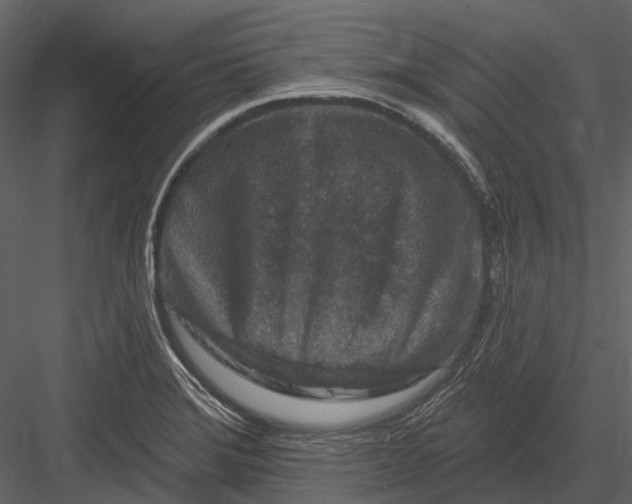 X0000082931372200702222208