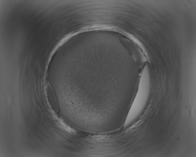 X0000082931373200702222208