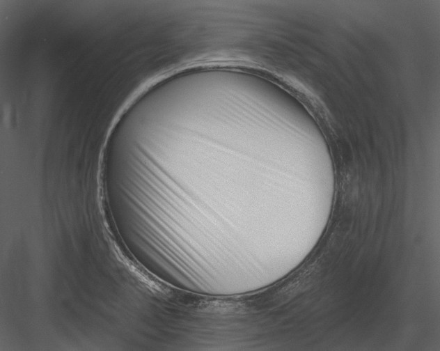 X0000082931374200702222208