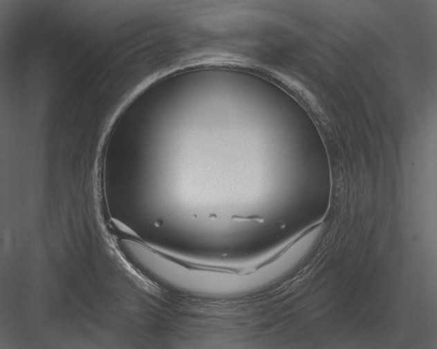 X0000082931375200702222208