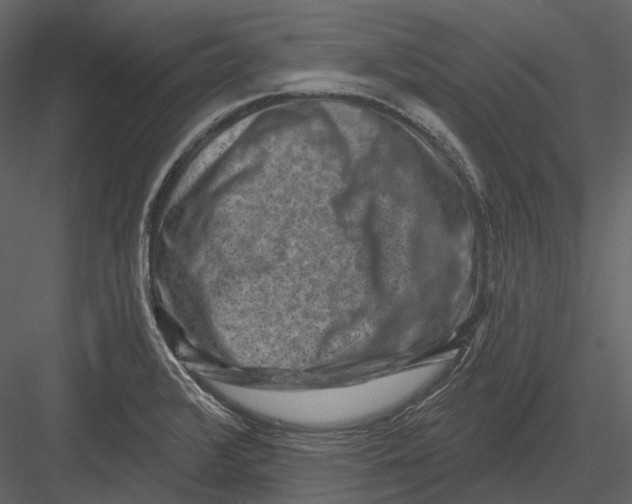 X0000082931376200702222208