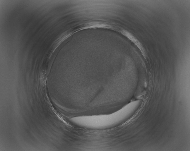 X0000082931377200702222208