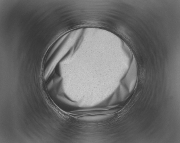 X0000082931378200702222208