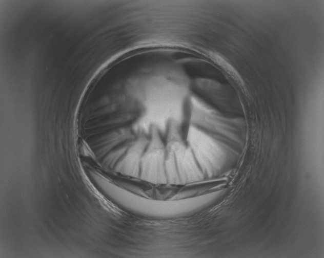 X0000082931380200702222208