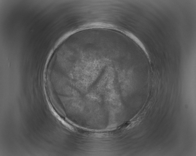 X0000082931381200702222208