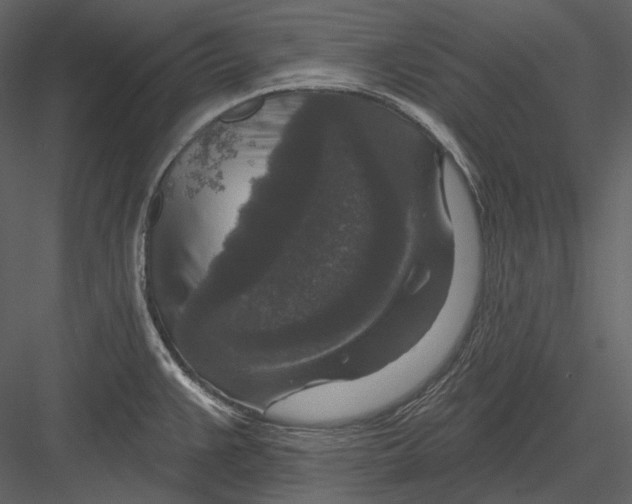 X0000082931383200702222208