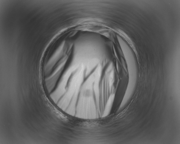 X0000082931384200702222208