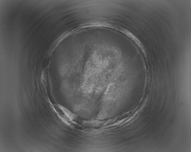 X0000082931385200702222208