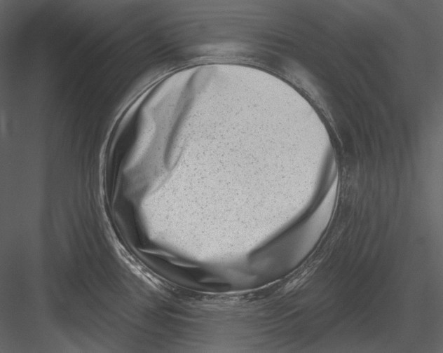 X0000082931386200702222208