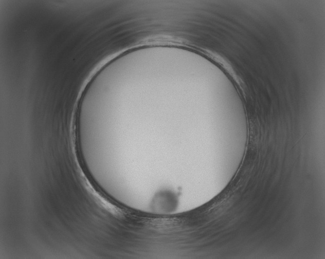 X0000082931387200702222208