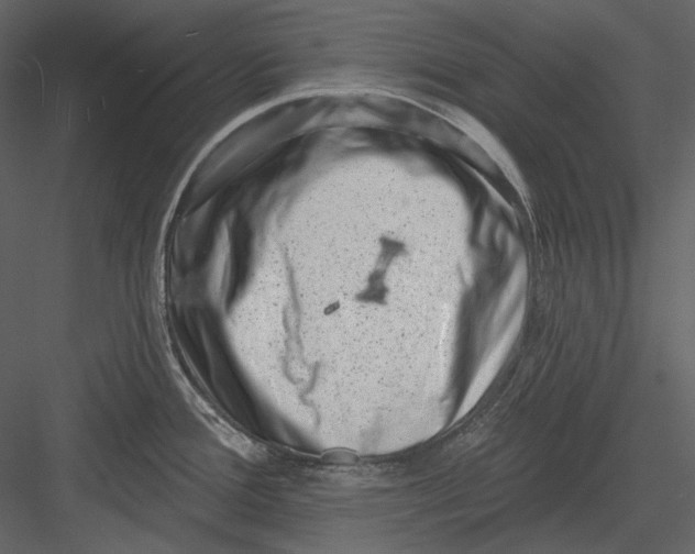 X0000082931388200702222208