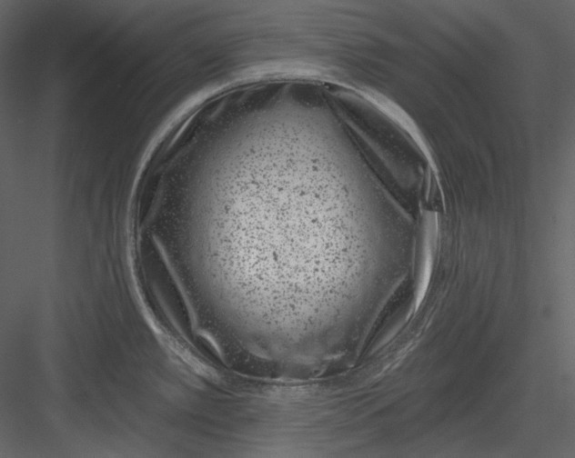 X0000082931389200702222208