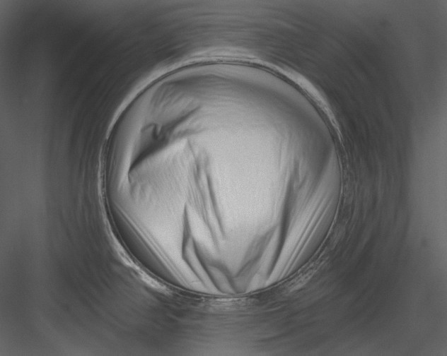 X0000082931390200702222208