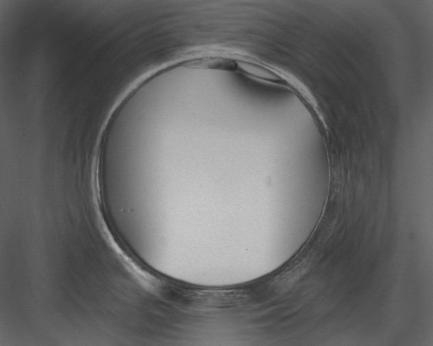 X0000082931391200702222208