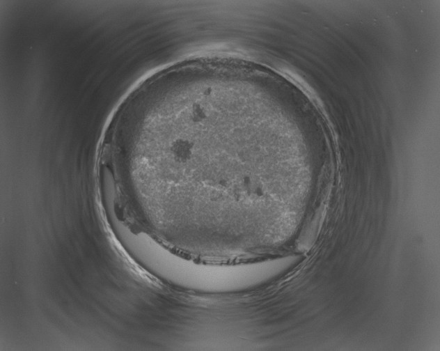 X0000082931392200702222208