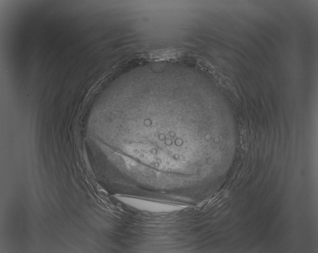 X0000082931393200702222207