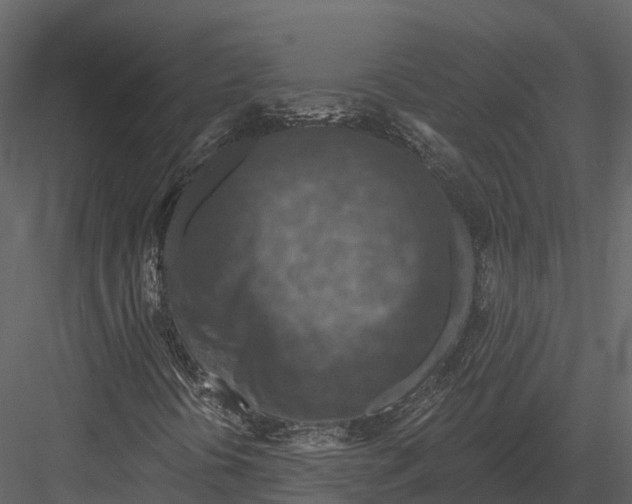 X0000082931394200702222207