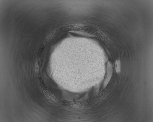 X0000082931395200702222207