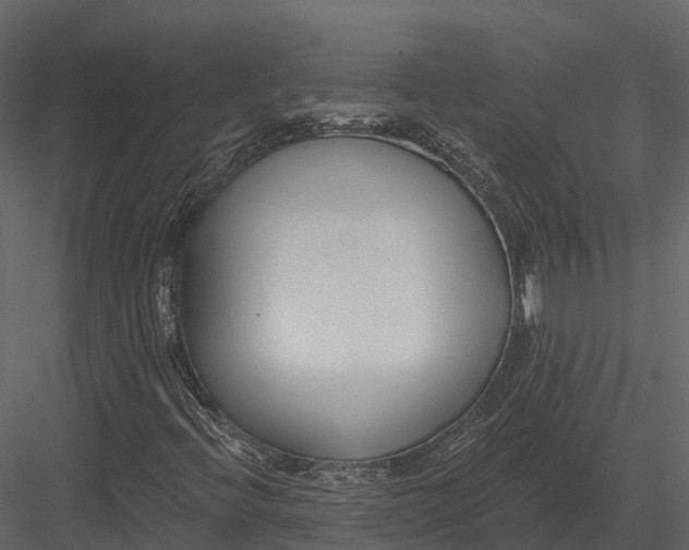 X0000082931396200702222207