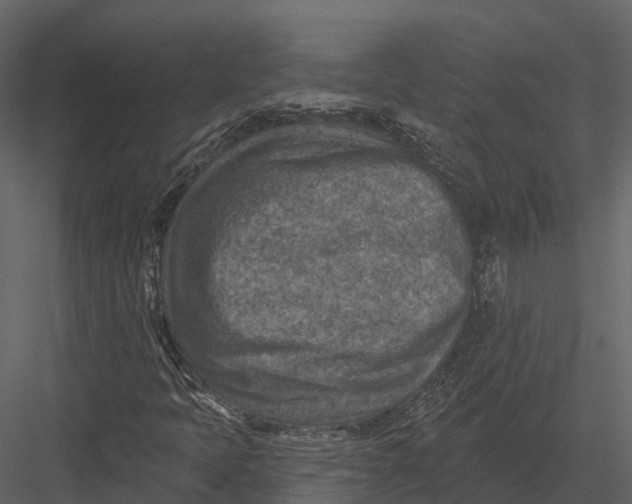 X0000082931397200702222207