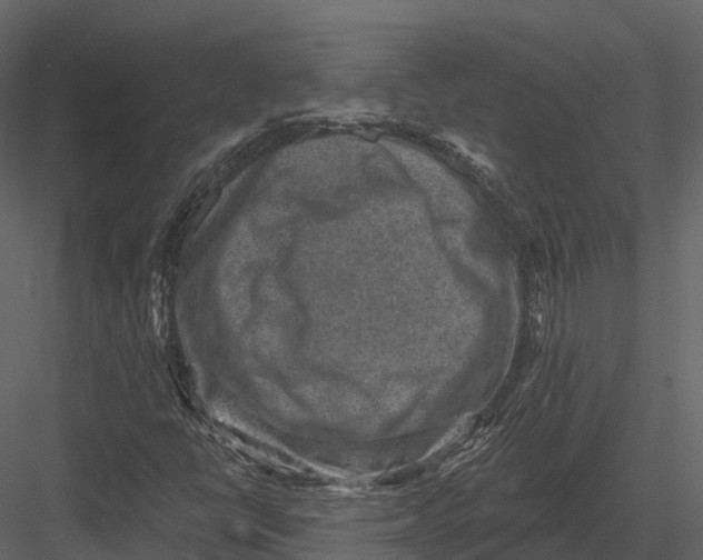 X0000082931398200702222207