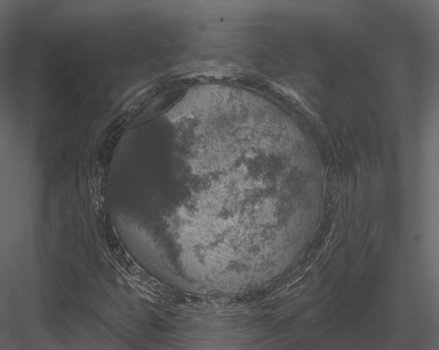 X0000082931399200702222207