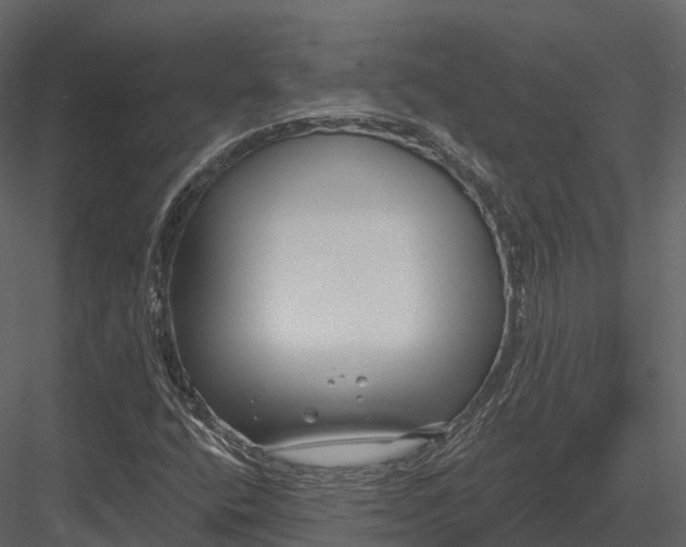 X0000082931400200702222207