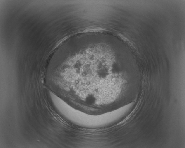 X0000082931401200702222207