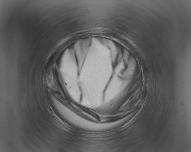 X0000082931402200702222207