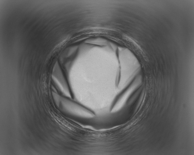 X0000082931403200702222207