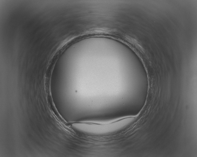 X0000082931404200702222207