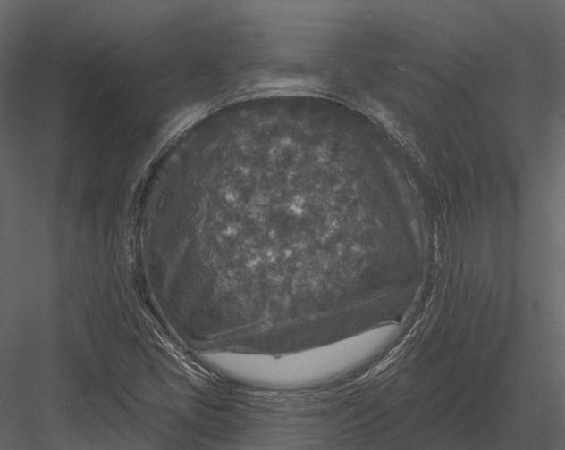 X0000082931405200702222207