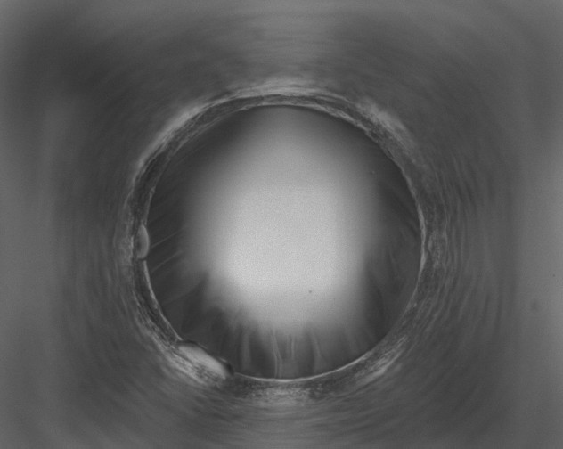 X0000082931406200702222207